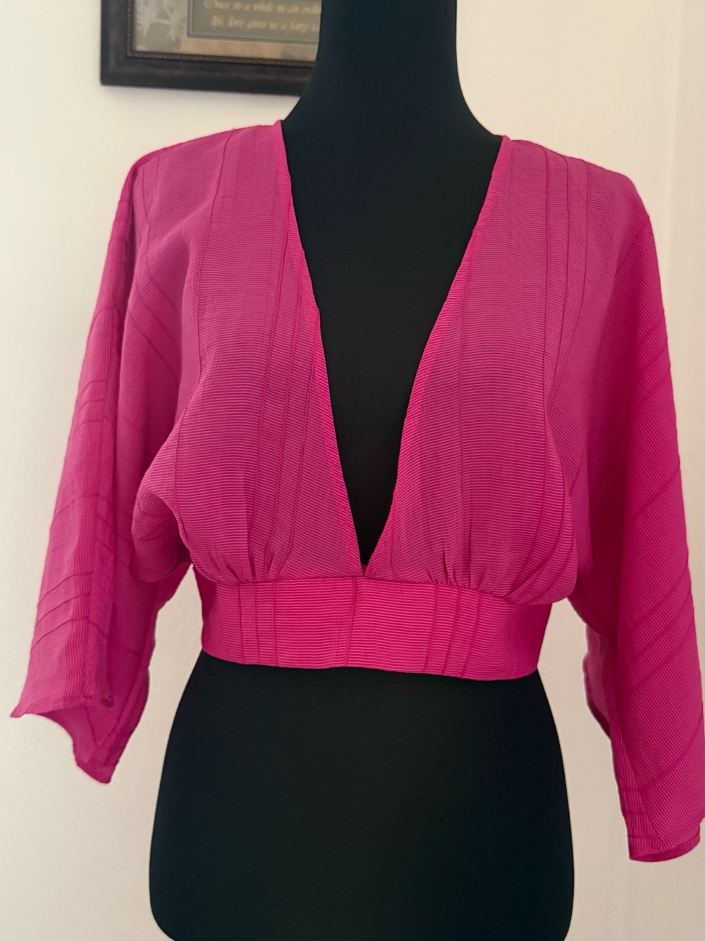 Forever 21 Pink Fuchsia V-Neck Cropped Blouse – Size M – NWT